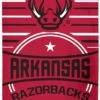WinCraft Arkansas Razorback Beach Towel 30" X 60"
