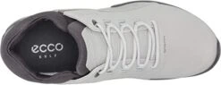 Ecco Men's Biom G3 Golf Shoes -Fine Golf Store EccoBiomG3 Concrete4