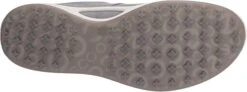 ECCO Ladies Golf Biom Hybrid Golf Shoes 28 ECCO Ladies Golf Biom Hybrid Golf Shoes -Fine Golf Store EccoLadiesHydromax SilverMetallic3